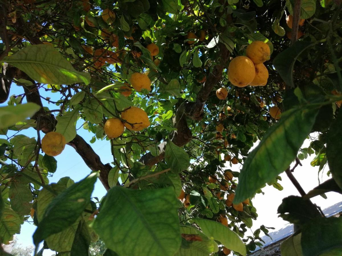 Bed and Breakfast Lumie Di Sicilia Porto Empedocle Esterno foto