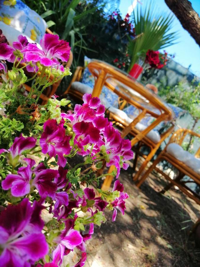 Bed and Breakfast Lumie Di Sicilia Porto Empedocle Esterno foto